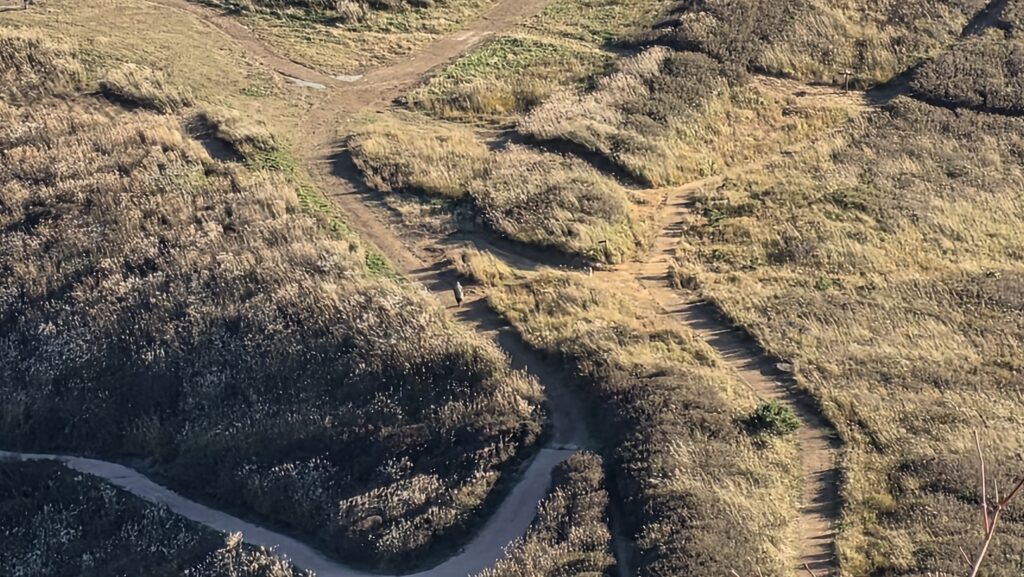 황매산 억세축제