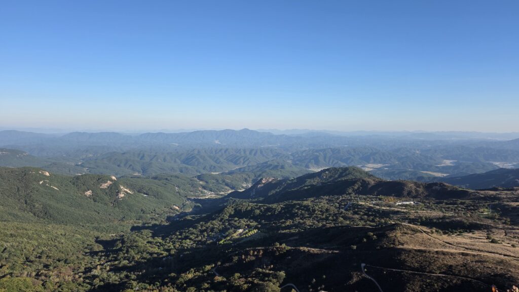 황매산 억세축제