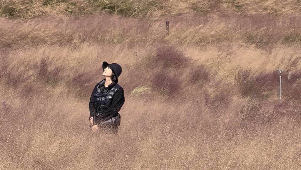 합천 신소양체육공원 핑크뮬리