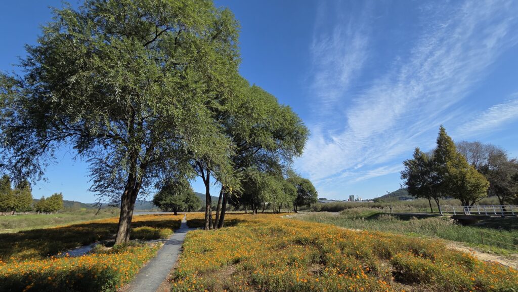 신소양체육공원